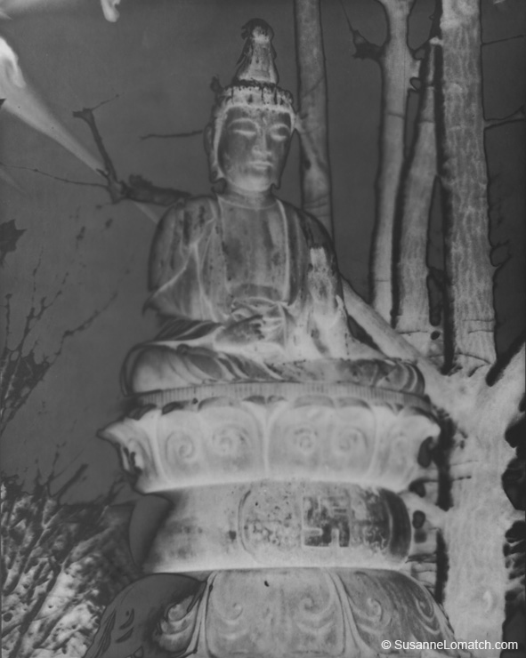 "Solarized Buddha"