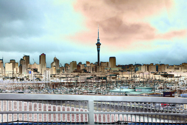 "Auckland Skyline"
