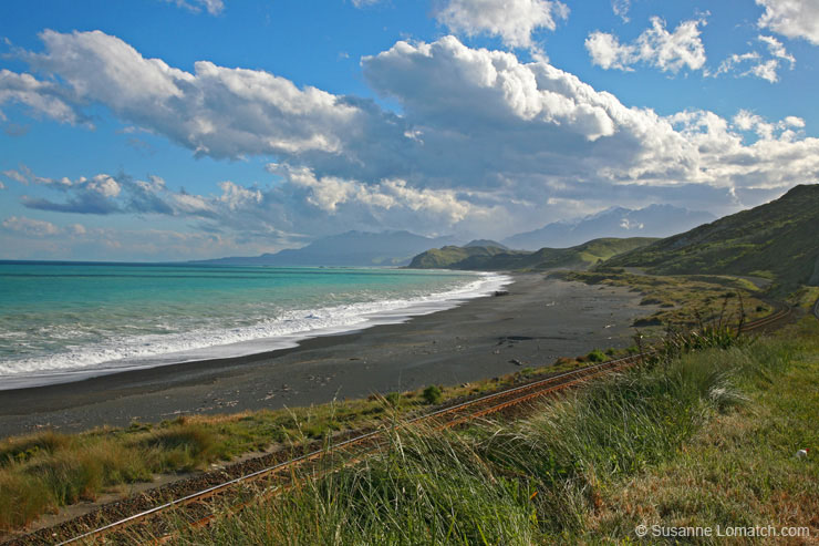 "Kaikoura Coast"