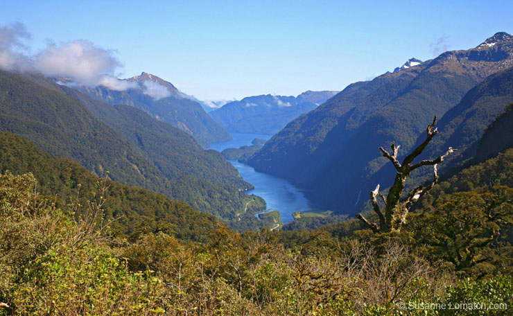 "High Above Doubtful"