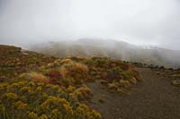 D0-HauntingTerrain-1580