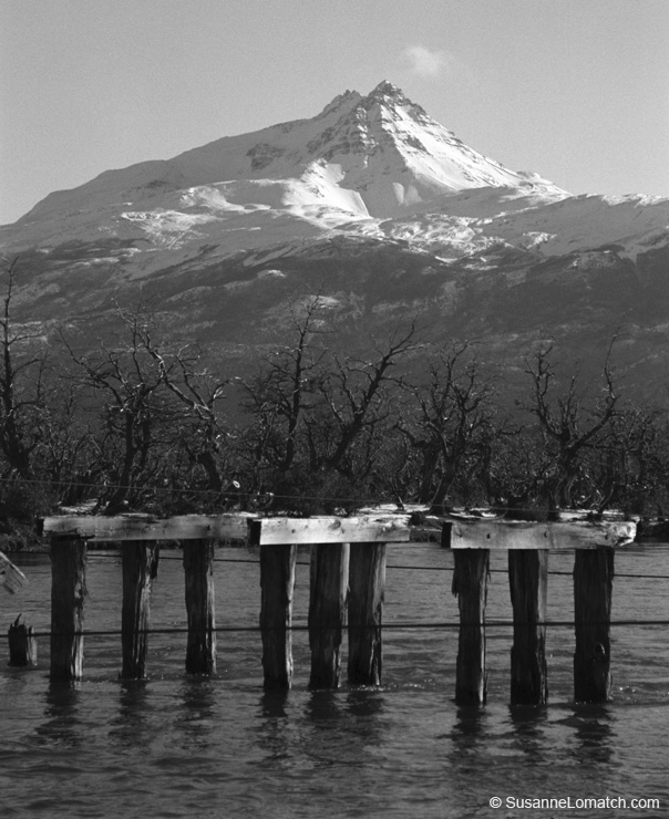 "Bridge"