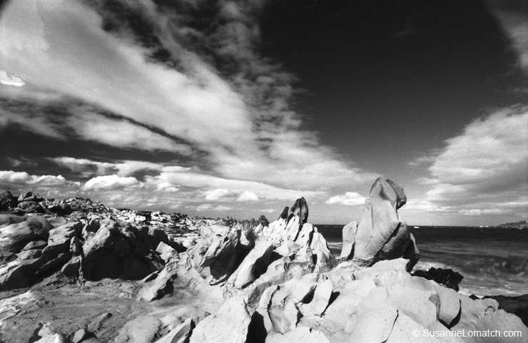 "Dragon's Teeth"