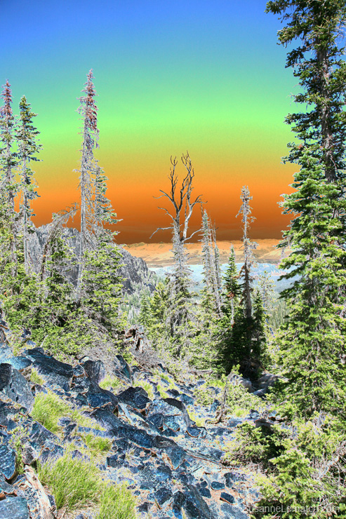 "Far Away - Exposed"