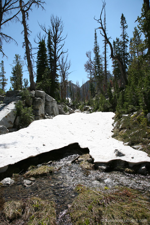 "Snowmelt"