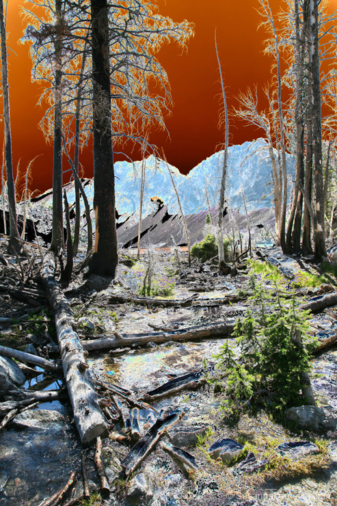"Lake in the Trees - Exposure #2"