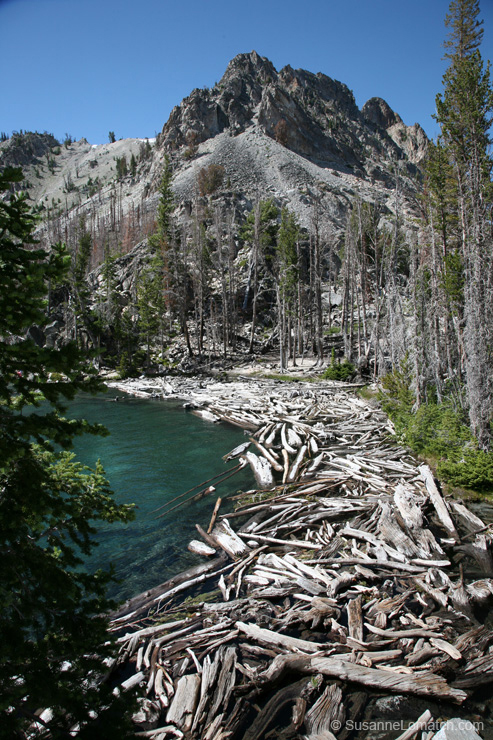 "Log Jam"