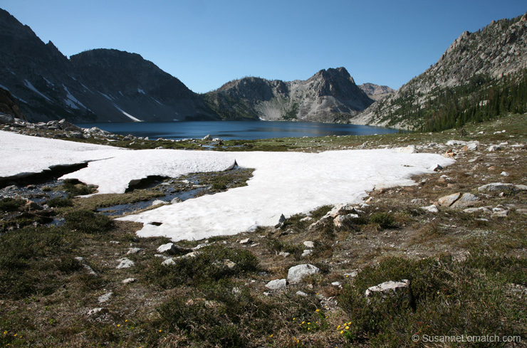 "High Meadow"