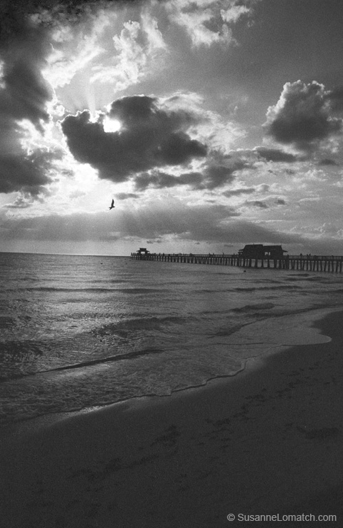 "The Pier - Study #4"