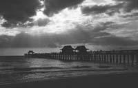 1Naples-Pier-Fr10-Study1