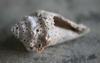 5This-Old-House-0886