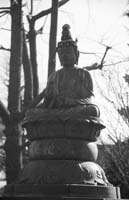 Buddha-Fr8-PS1