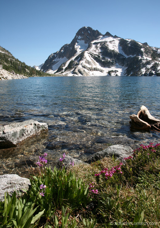 "Lakeside Portrait"