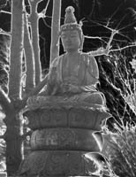 Buddha-Fr8-GS16-PS2