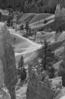 AmpDetail3BW-5774