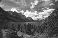 Idyll-6353-BW