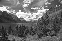 Stunning-6358-BW