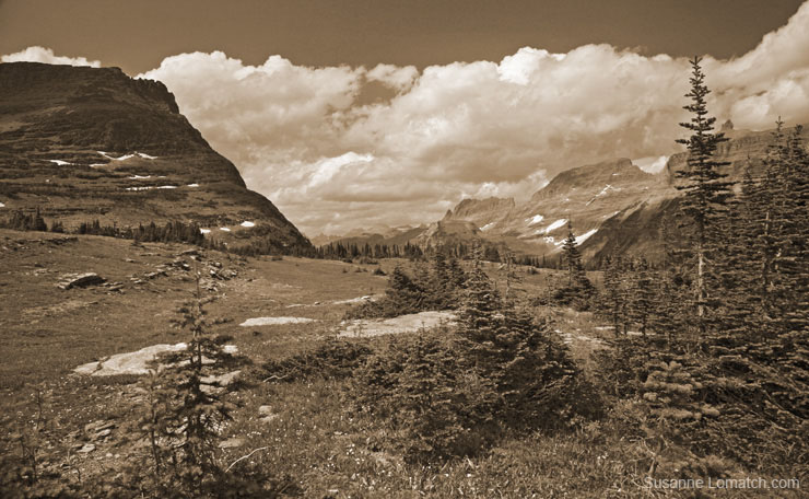 "Looking West"
