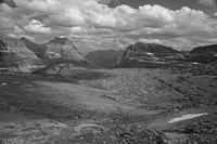 AMajestic-6132-BW