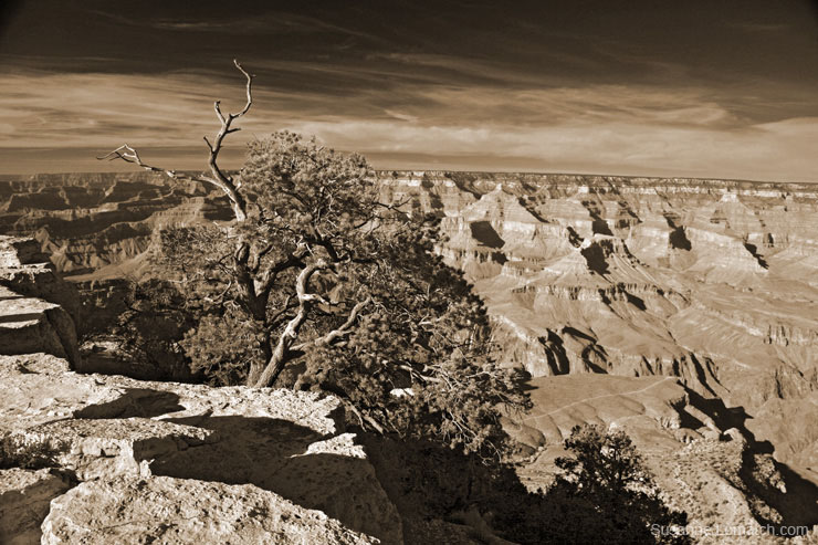 "Curvature"