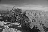 CurvatureBW-5504