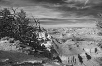 WindSwept-5433-BW2