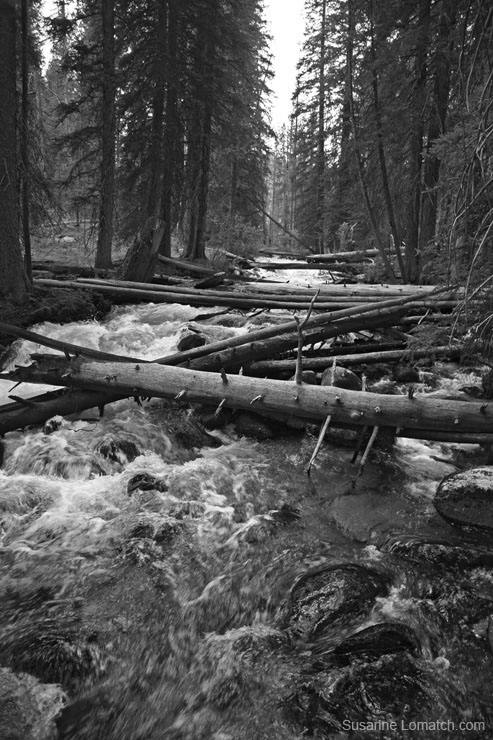 "Fish Hook Creek"