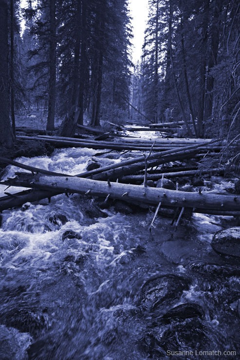 "Fish Hook Creek"
