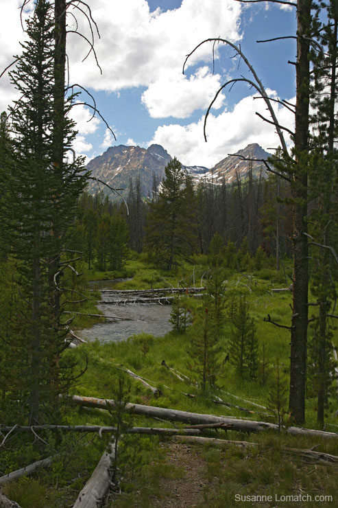 "Sawtooth Clearing #2"