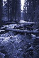 Fish-Hook-Creek-Duo