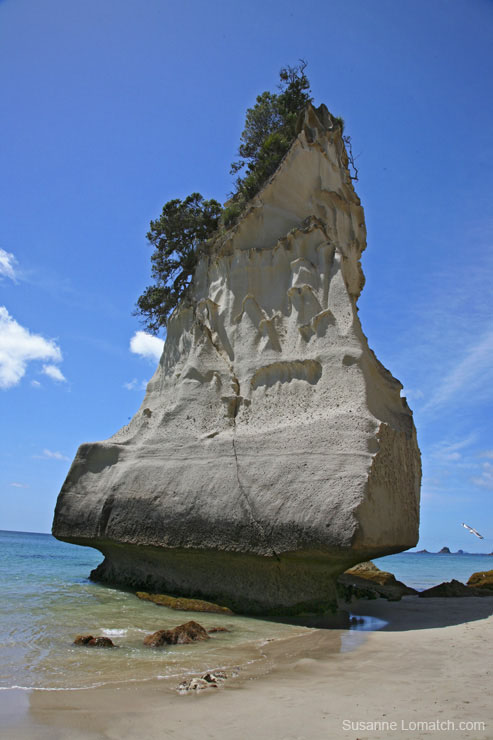 "Schooner Rock"