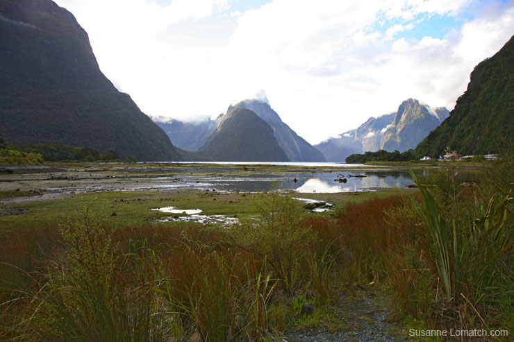 "Milford Shore"