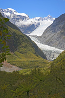 FoxGlacier-2188