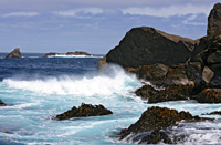 SeaEntrance-2974