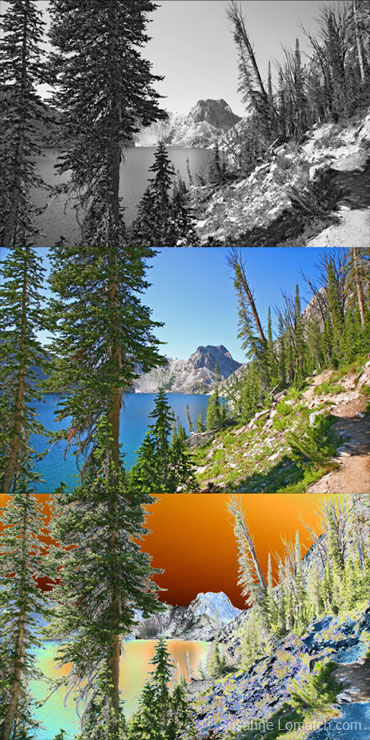 "Sawtooth Peek"