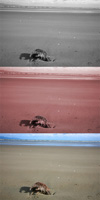 9Washed-Up