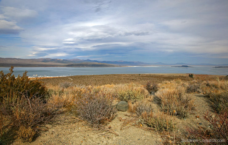 "Fall at Mono"