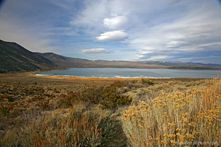 "Fall at Mono #2"