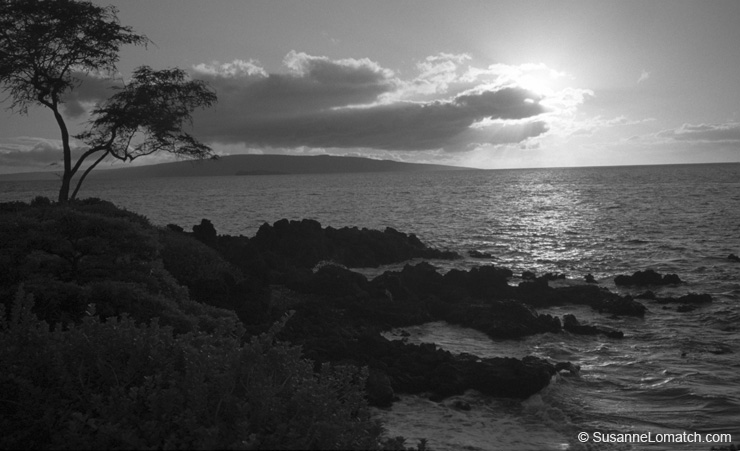 "Molokini"