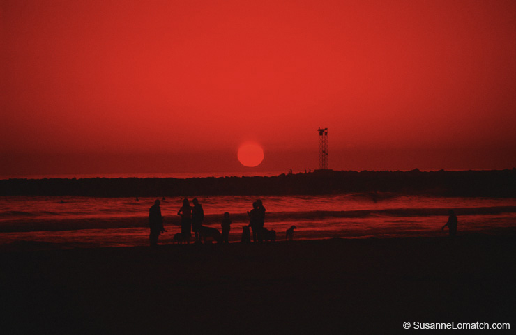 "Ocean Beach"